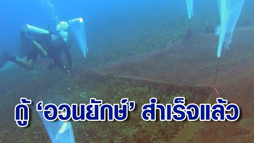ปฏิบัติการเก็บกู้ "อวนยักษ์" ทับแนวปะการังเกาะโลซิน สำเร็จแล้วใน 2 วัน!