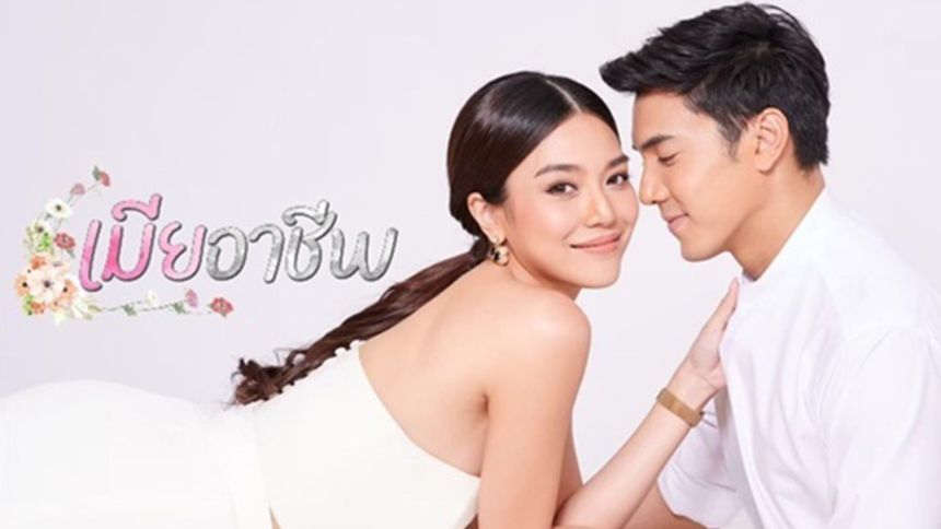 เมียอาชีพ